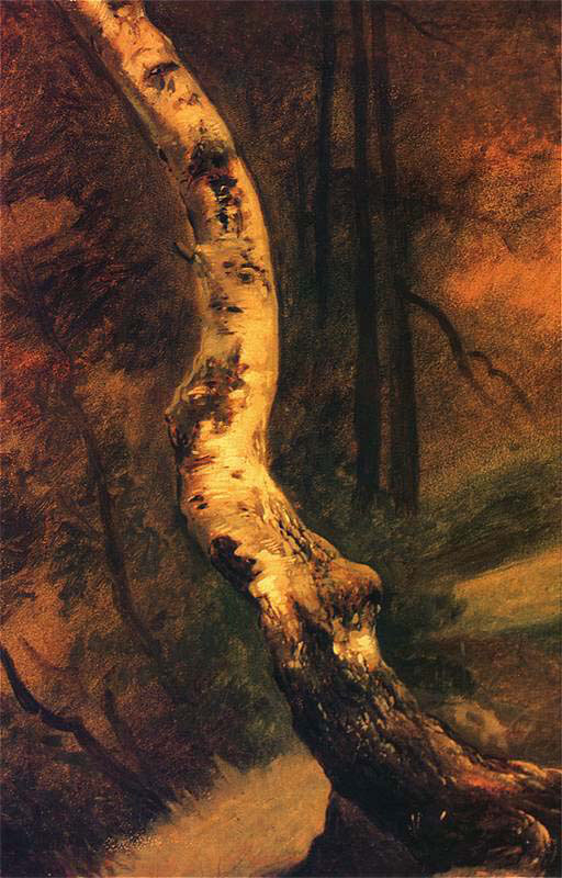 Birch